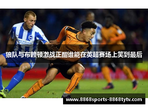 狼队与布赖顿激战正酣谁能在英超赛场上笑到最后